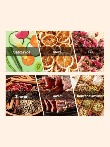 US-10 meva quritgich — uy uchun meva va sabzavot quritgich aparat