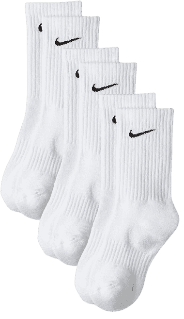 Paypoq ishlab chiqarish uskunasi