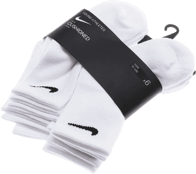 Paypoq ishlab chiqarish uskunasi