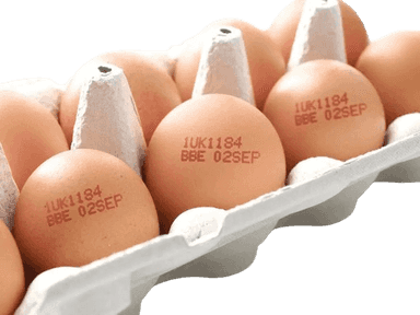 Tuxum yuzasiga ma'lumot chop etish uskunasi US-X-6127D