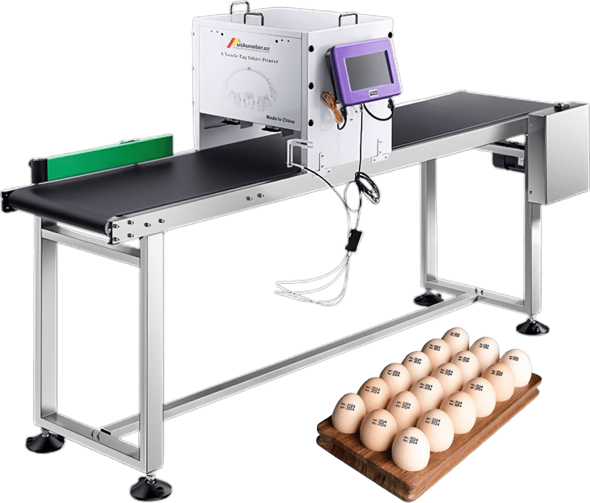 Оборудование для печати информации на поверхности яйца US-X-6127D